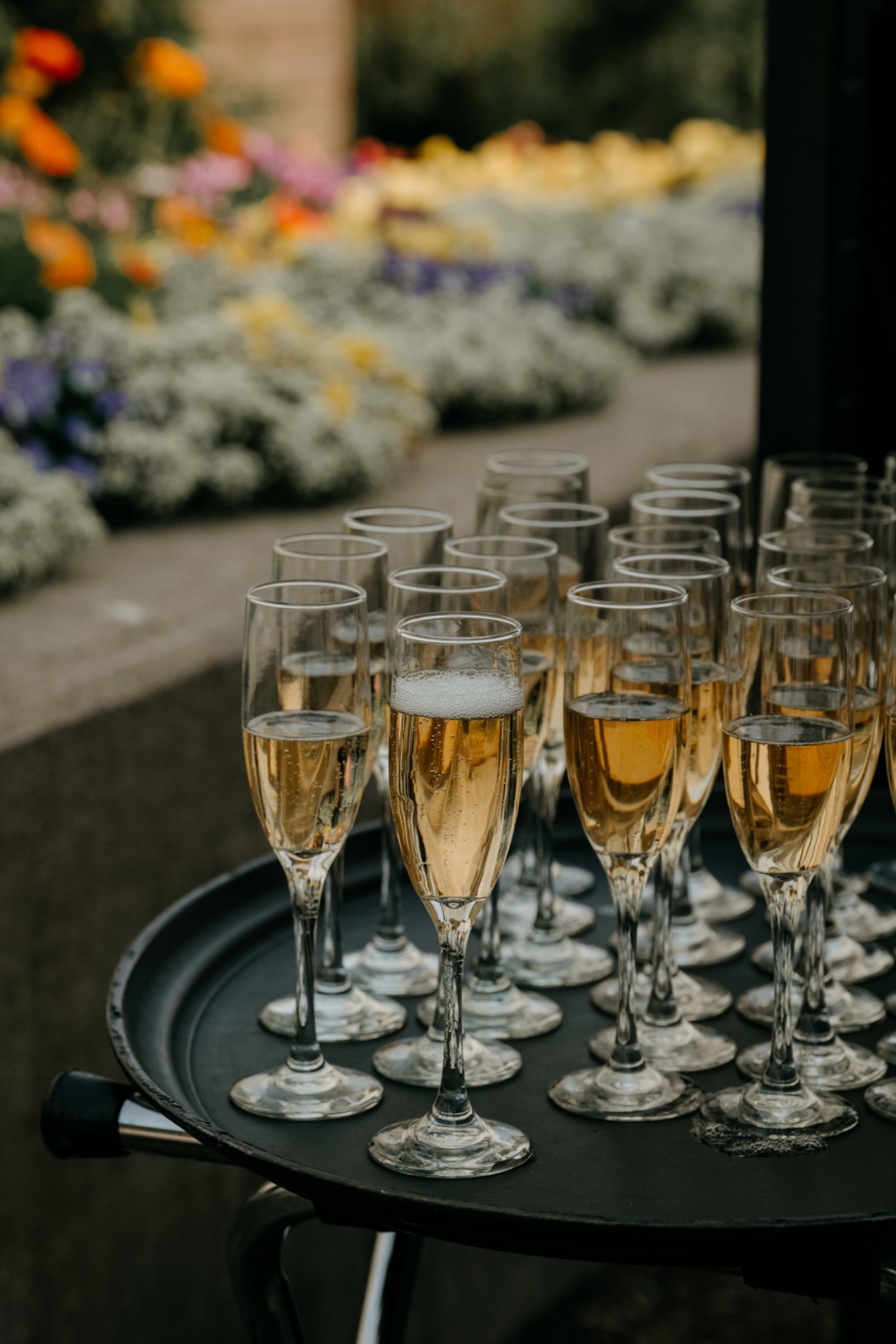 Dostal Digital wedding archive photograph